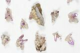 Lot: Small Veracruz Amethyst Clusters - Pieces #80630-1